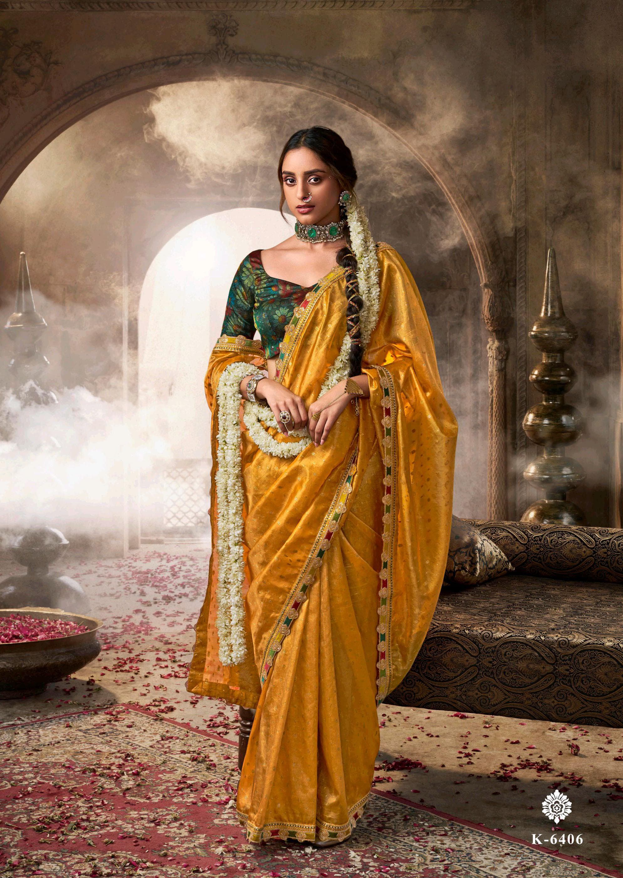 Women traditional Indian saree dress wedding and festival clothing