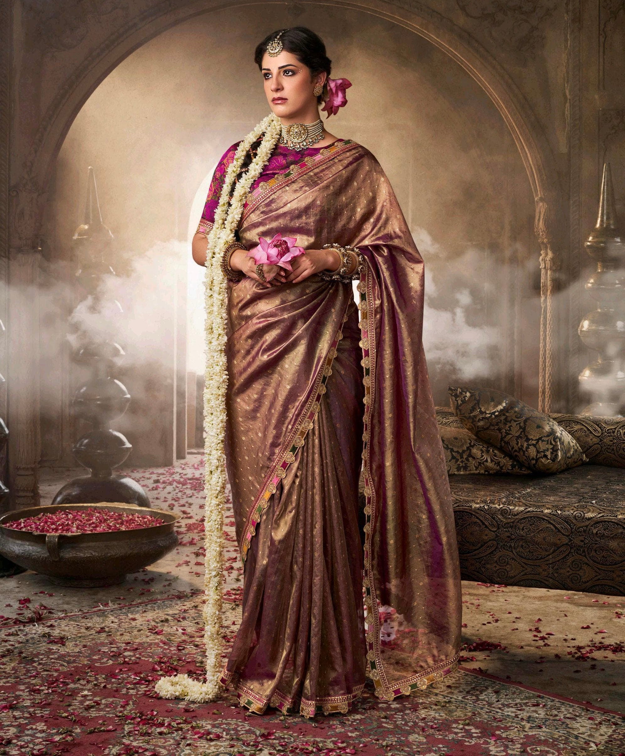 Women traditional Indian saree dress wedding and festival clothing