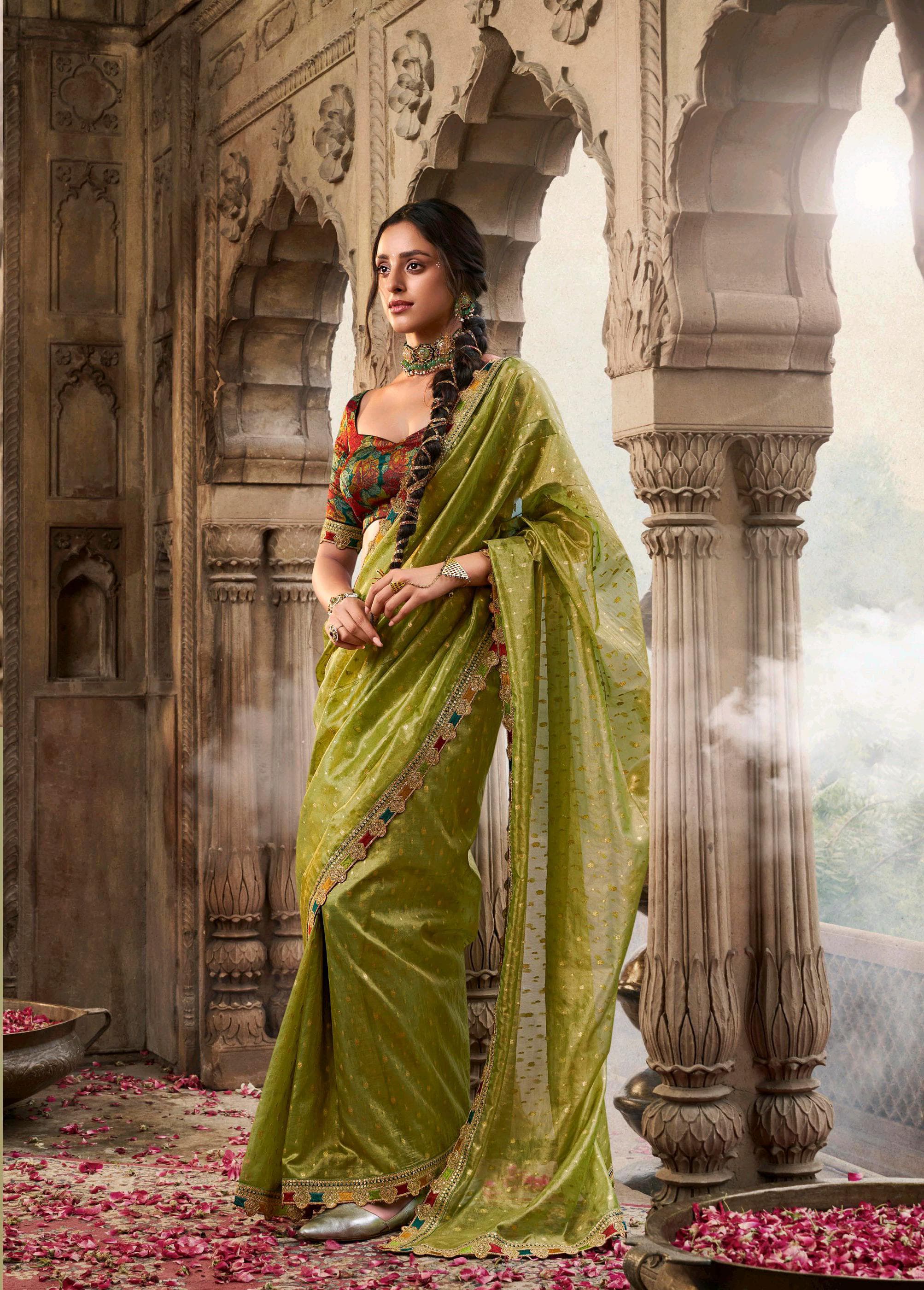 Women traditional Indian saree dress wedding and festival clothing